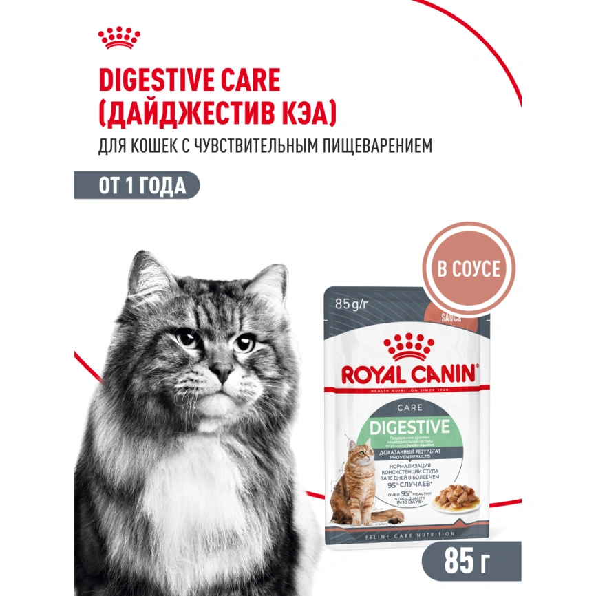 Влажный корм Royal Canin Digest Sensitive в соусе для улучшения пищеварения у взрослых кошек старше 1 года, пауч, 85 г фото 14