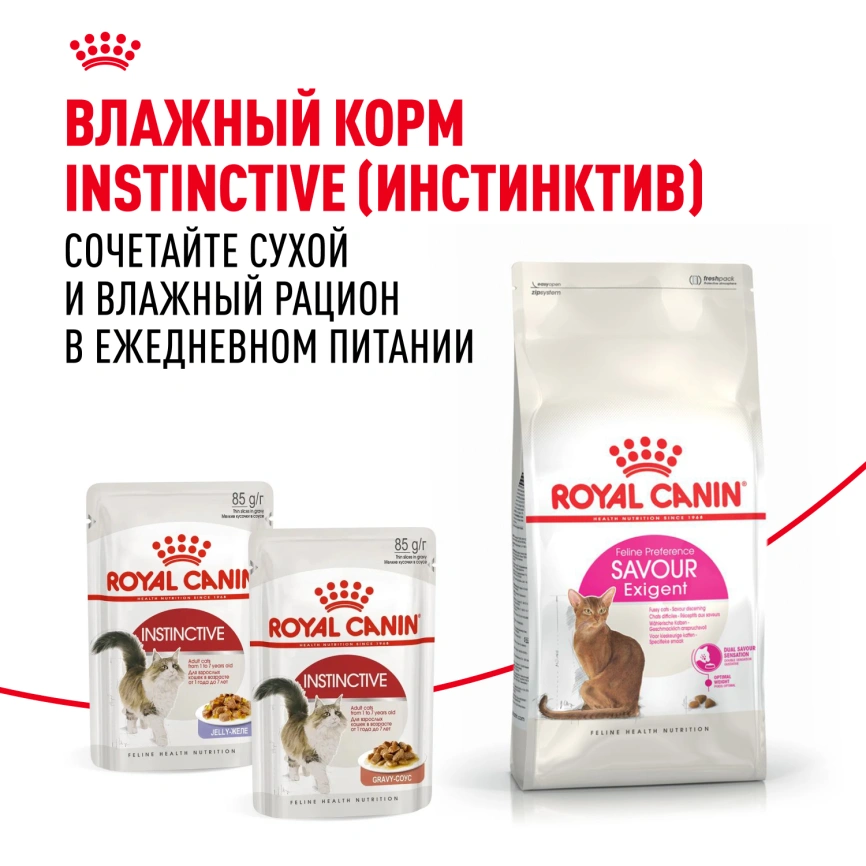 Сухой корм Royal Canin Savour Exigent для кошек, 400 г фото 8