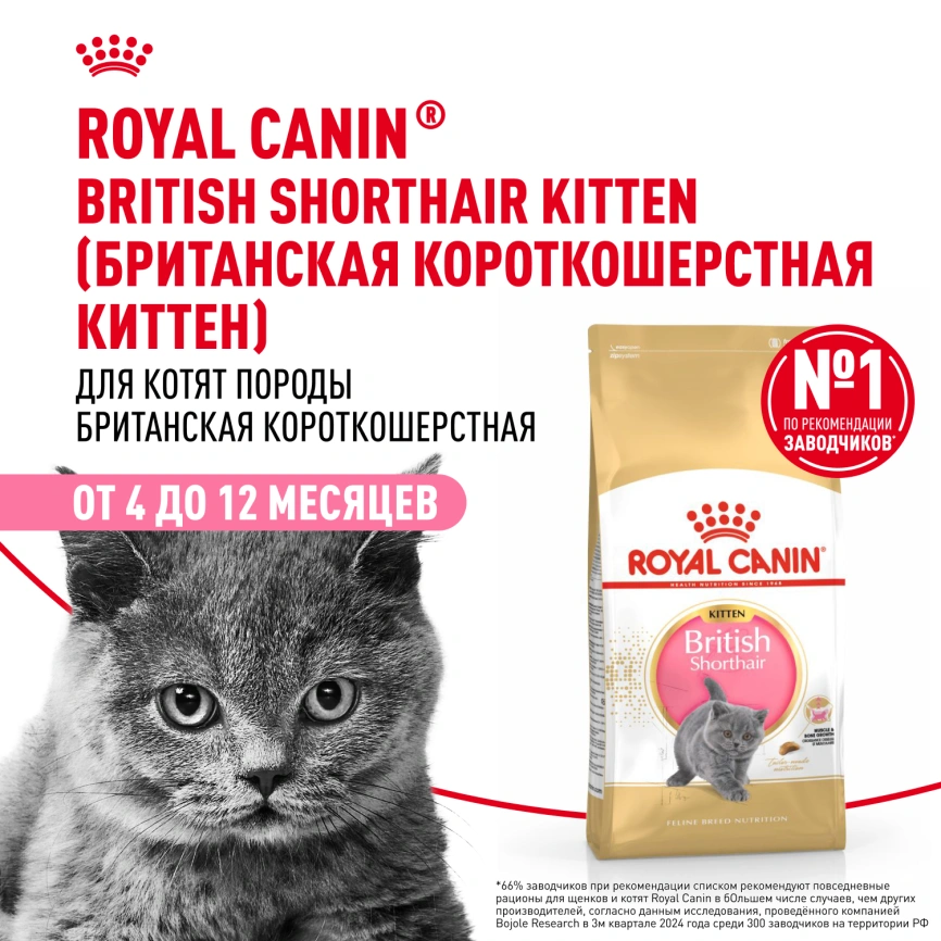 Сухой корм Royal Canin Kitten British Shorthair для котят, 10 кг фото 14