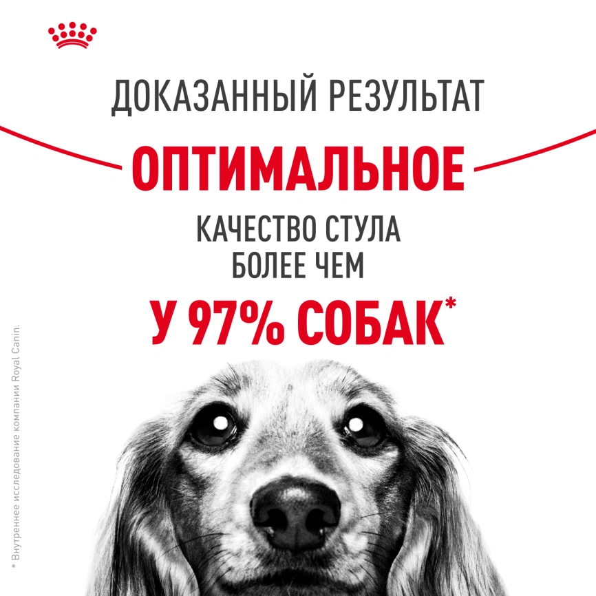 Сухой корм Royal Canin Medium Digestive Care для собак, 3 кг фото 9