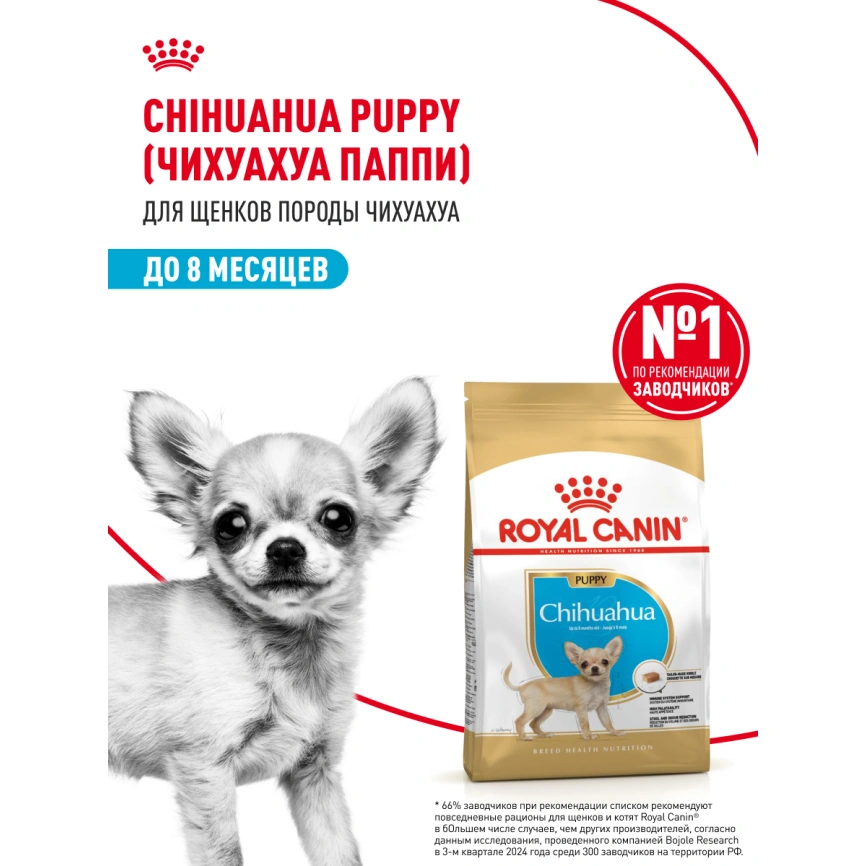 Сухой корм Royal Canin Chihuahua Puppy для щенков породы чихуахуа, 1,5 кг фото 15