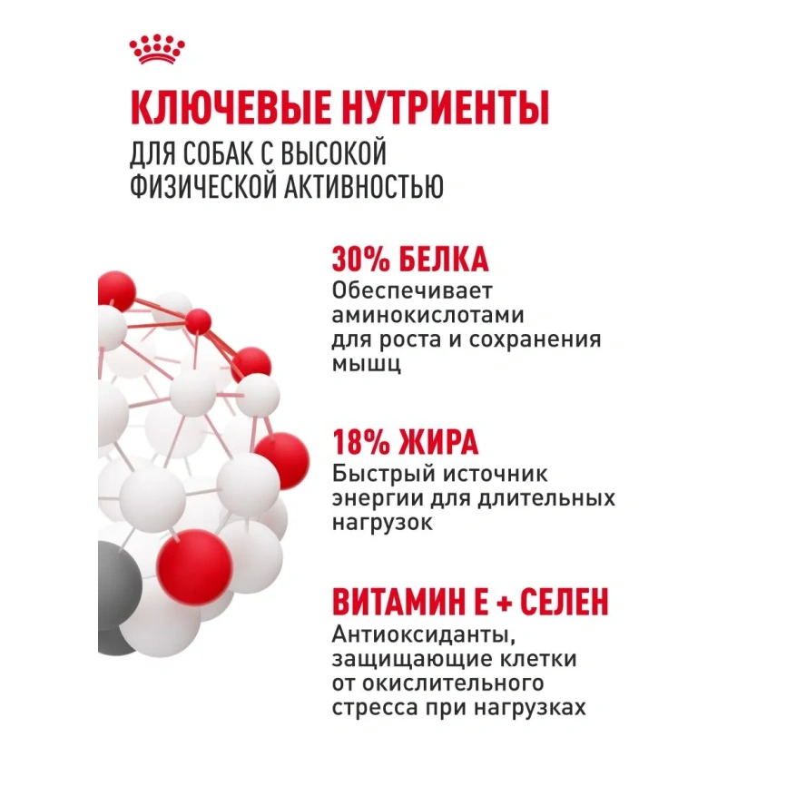 Сухой корм Royal Canin Club Energy HE, для активных собак, 20 кг фото 4