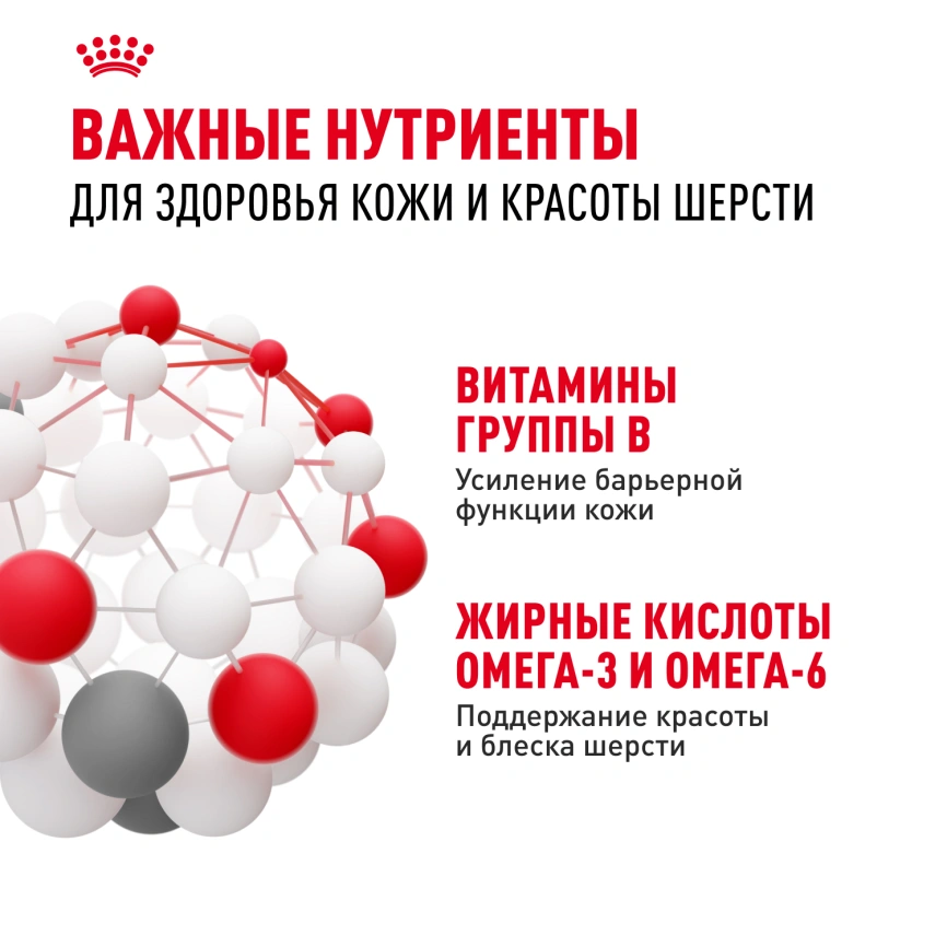 Сухой корм Royal Canin Medium Dermacomfort для собак, 10 кг фото 5