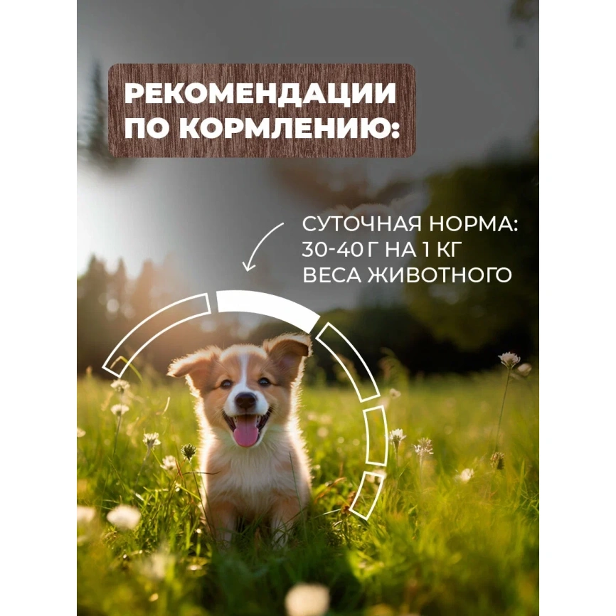 Влажный корм Родные корма консервированный Rice для щенков, повышенной питательности с теленком и рисом по-кубански, 970 г фото 5