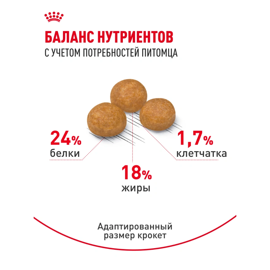 Сухой корм Royal Canin X-Small Adult для собак, 3 кг фото 16