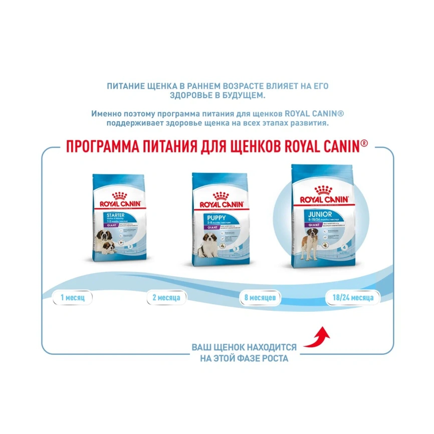 Сухой корм Royal Canin Giant Junior для щенков, 15 кг фото 16