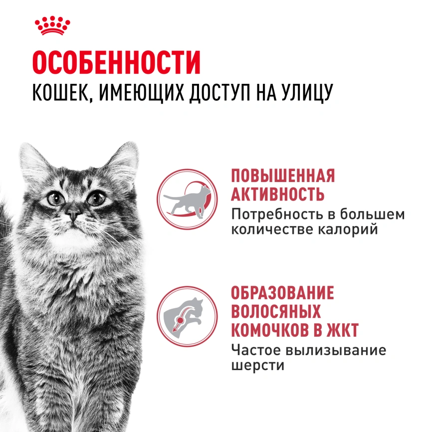 Сухой корм Royal Canin Fit для кошек, 400 г фото 3