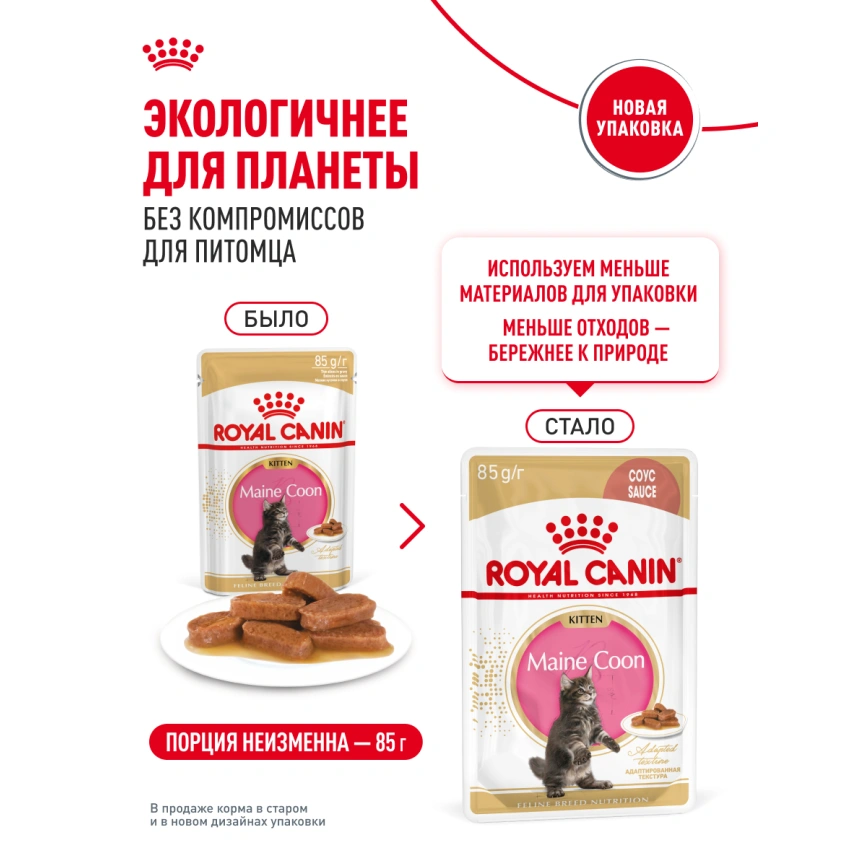 Влажный корм Royal Canin Maine Coon Kitten в соусе для котят породы мейн-кун и других крупных пород старше 3 месяцев, пауч, 85 г фото 25
