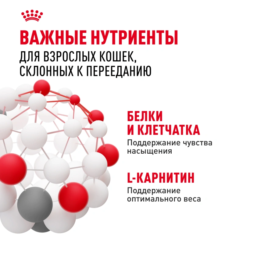 Влажный корм Royal Canin Appetite Control Care в соусе для взрослых кошек, для контроля выпрашивания корма, пауч, 85 г фото 5