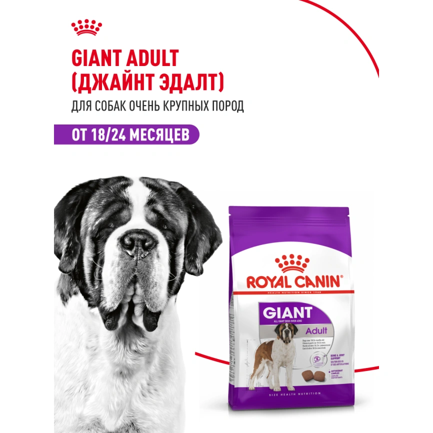 Сухой корм Royal Canin Giant Adult для собак, 4 кг фото 12