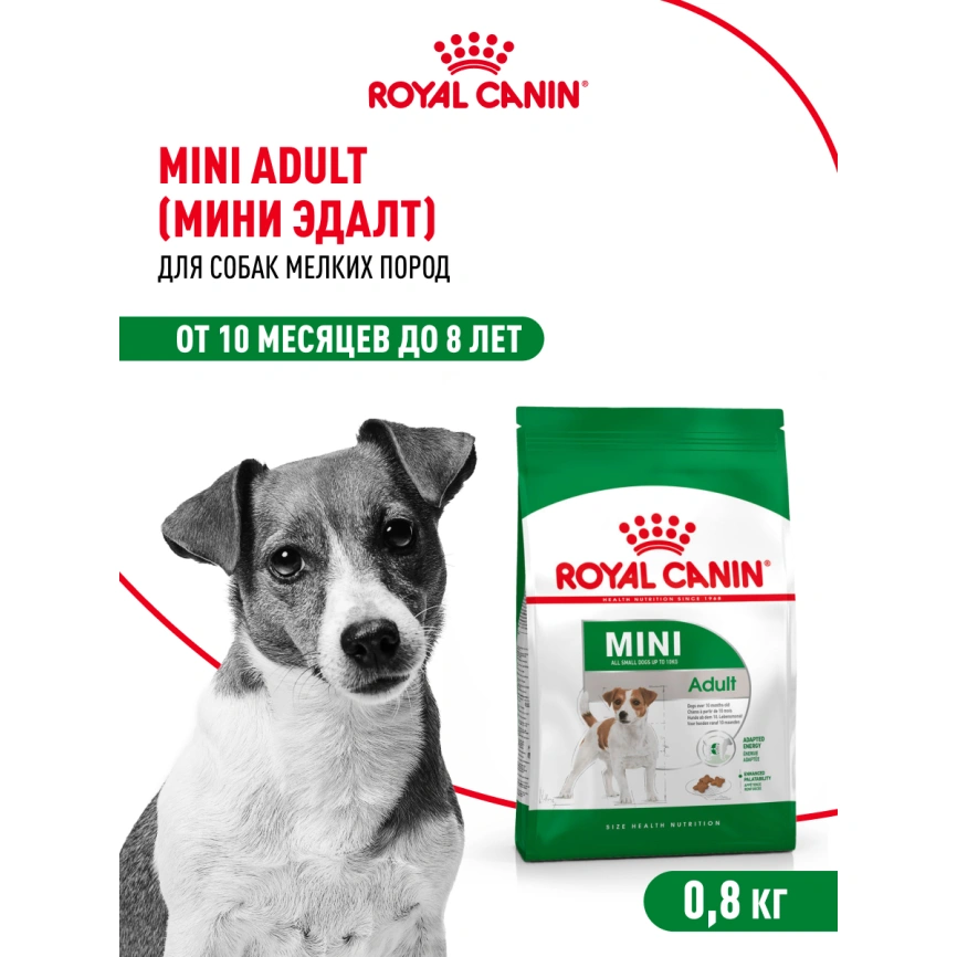 Сухой корм Royal Canin Mini Adult для взрослых собак, 800 фото 13