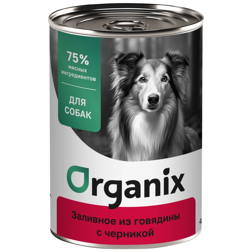 Влажный корм Organix Preventive Line Beef & Blueberry для собак Заливное из говядины, с черникой, 400 г фото 1