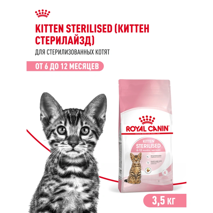 Сухой корм Royal Canin Kitten Sterilised для котят, 3,5 кг фото 20
