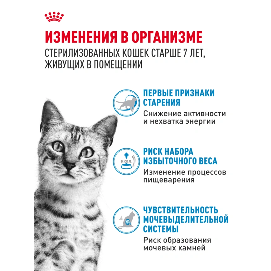 Влажный корм Royal Canin Indoor 7+ в соусе для кошек старше 7 лет, живущих в помещении, пауч, 85 г фото 3