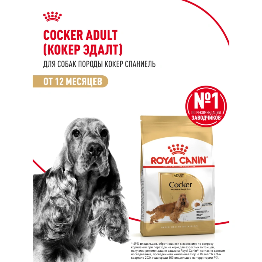 Сухой корм Royal Canin Cocker Adult для собак породы кокер-спаниель, 3 кг фото 11