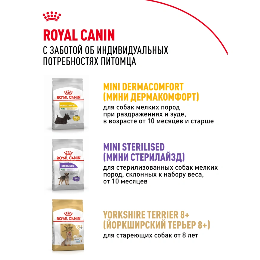 Сухой корм Royal Canin Yorkshire Terrier Adult для взрослых собак, 500 г фото 16