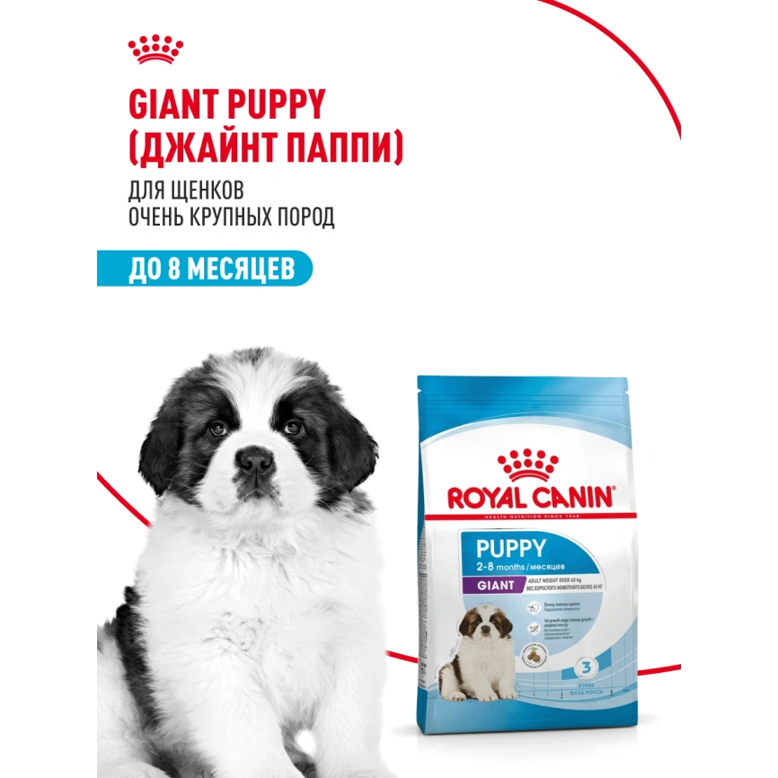 Сухой корм Royal Canin Giant Puppy для щенков, 3,5 кг фото 12