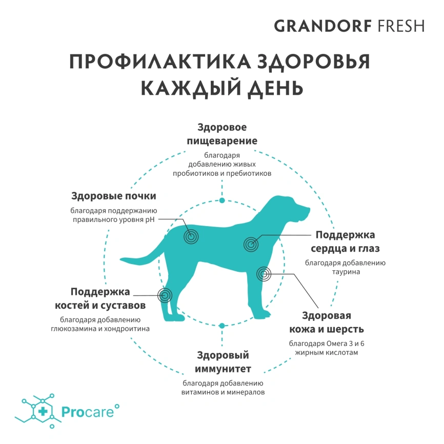 Сухой корм Grandorf Fresh Dog Salmon & Sweet Potato для взрослых собак крупных пород лосось, с бататом, 3 кг фото 4