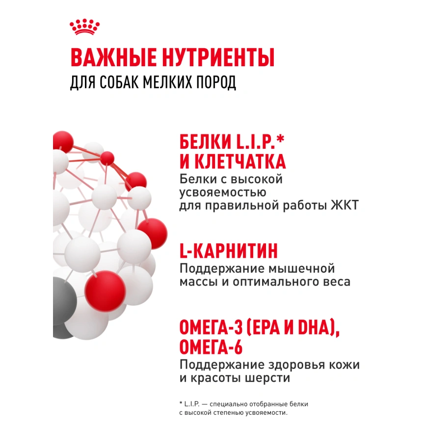 Влажный корм Royal Canin Mini Adult в соусе для взрослых собак мелких пород старше 10 месяцев, пауч, 85 г фото 5