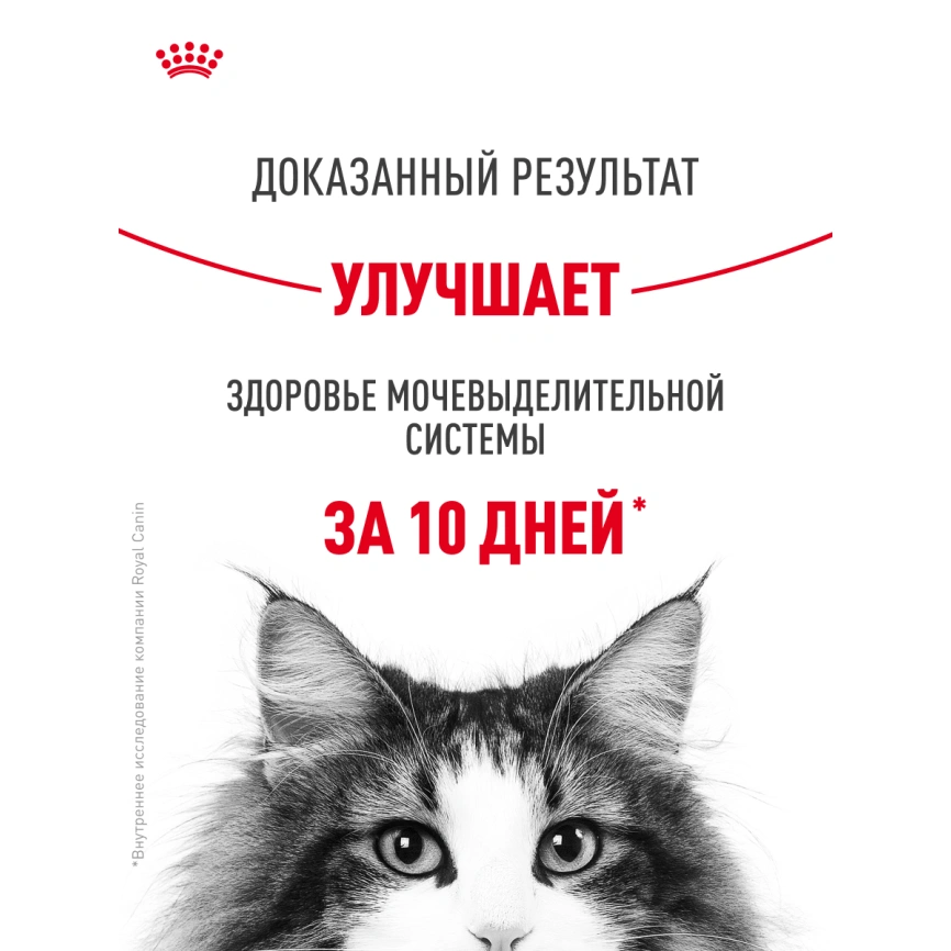 Сухой корм Royal Canin Urinary Care для кошек для профилактика мочекаменной болезни, 400 г фото 17