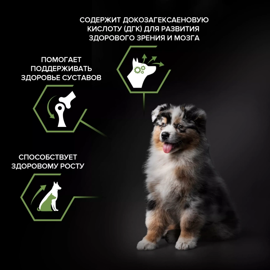 Сухой корм PRO PLAN Chicken для щенков средних пород, с высоким содержанием курицы, 3 кг фото 3
