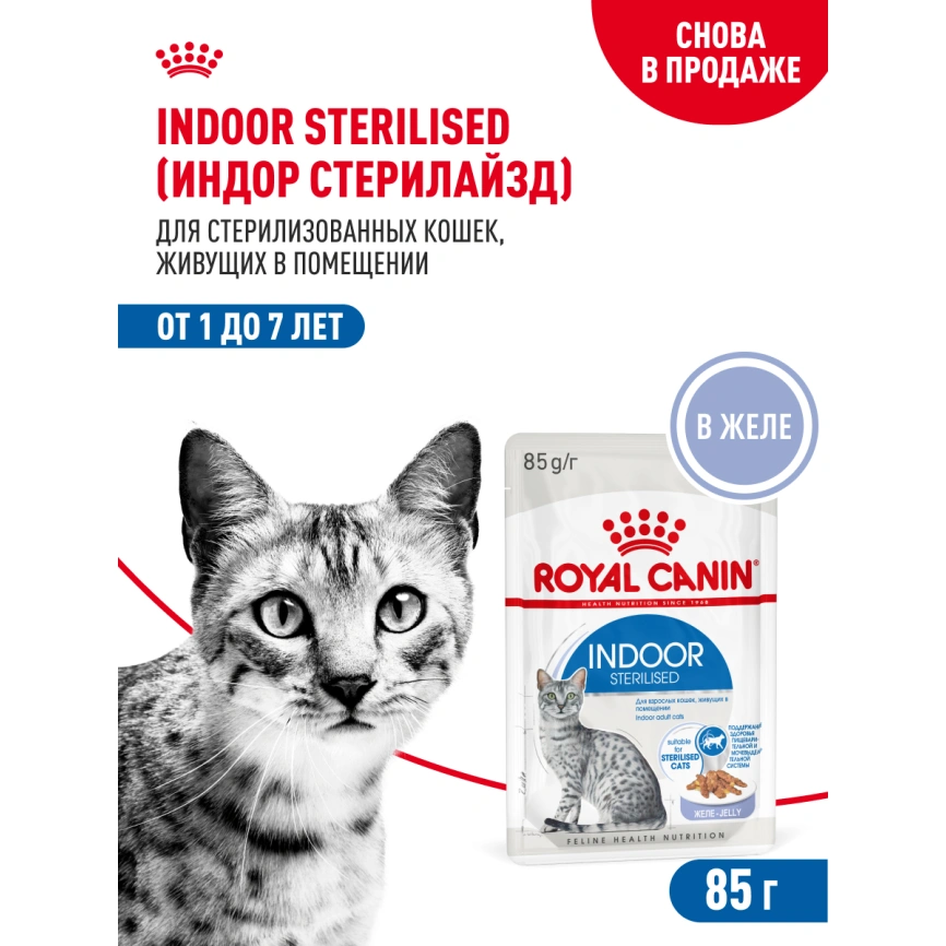 Влажный корм Royal Canin Indoor sterilised в желе для кошек, живущих в помещении, пауч, 85 г фото 15