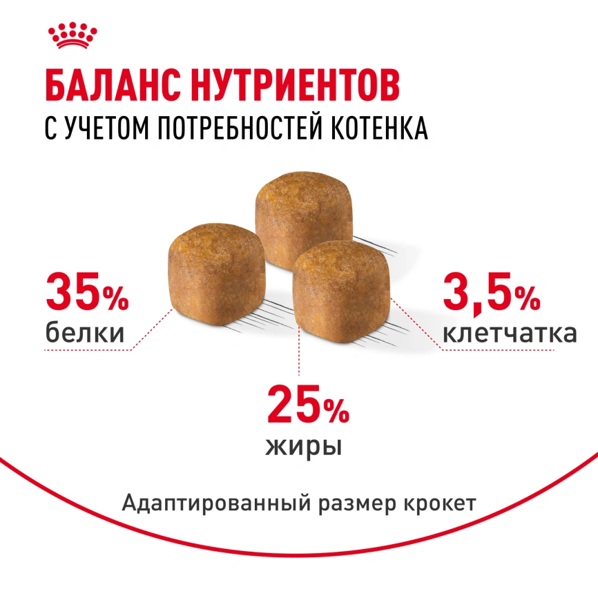 Сухой корм Royal Canin Sphynx Kitten для котят породы сфинкс до 12 месяцев, 400 г фото 4