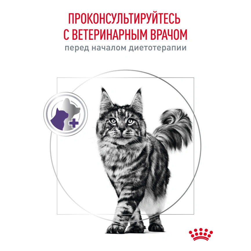 Сухой корм Royal Canin Neutered Satiety Balance для кастрированных котов и стерилизованных кошек до 7 лет, 1,5 кг фото 22