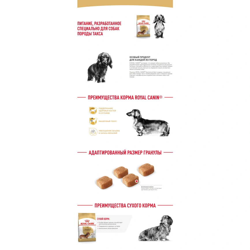 Сухой корм Royal Canin Dachshund Adult для собак породы такса, 7,5 кг фото 14