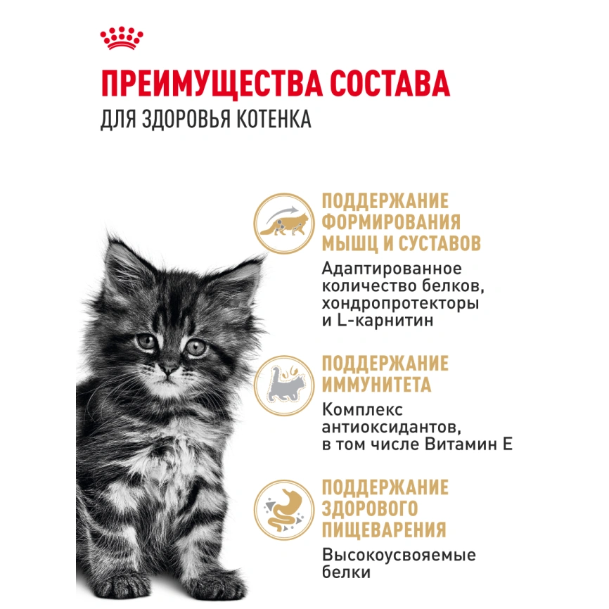 Влажный корм Royal Canin Maine Coon Kitten в соусе для котят породы мейн-кун и других крупных пород старше 3 месяцев, пауч, 85 г фото 17
