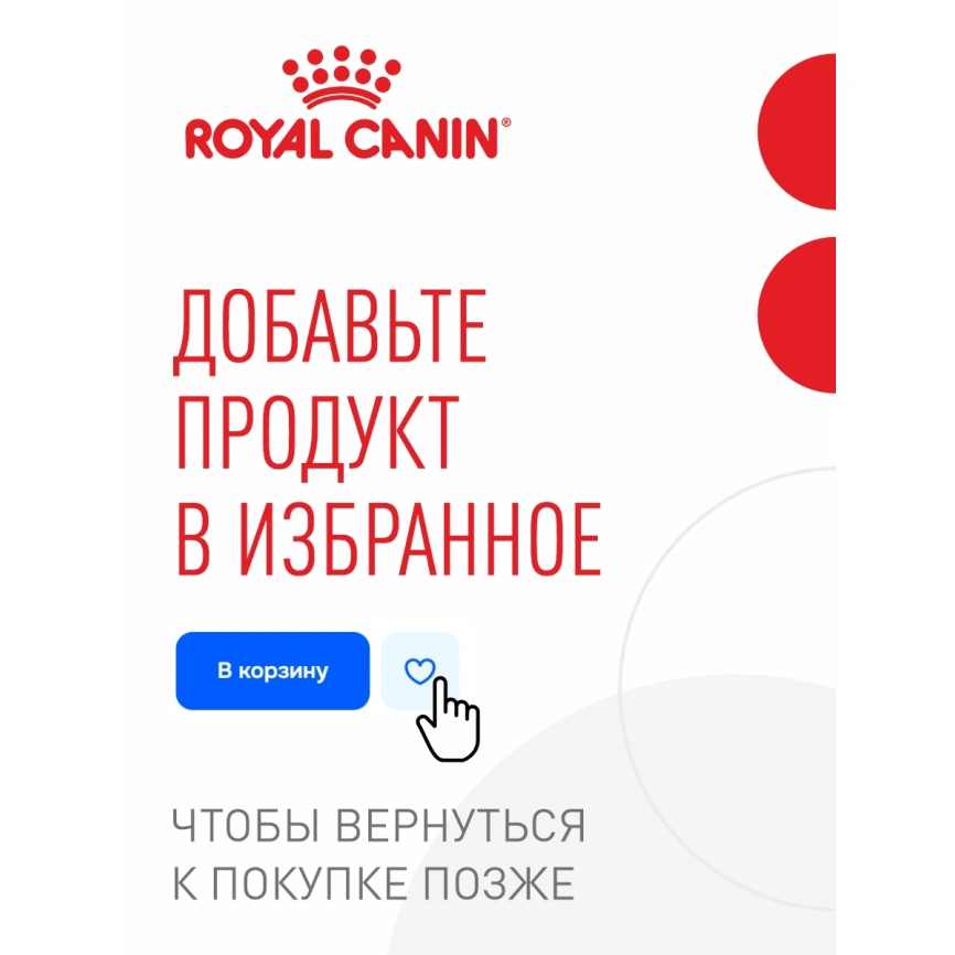 Влажный корм Royal Canin Maine Coon Kitten в соусе для котят породы мейн-кун и других крупных пород старше 3 месяцев, пауч, 85 г фото 24