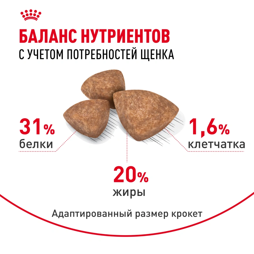 Сухой корм Royal Canin X-Small Puppy для щенков, 1,5 кг фото 5
