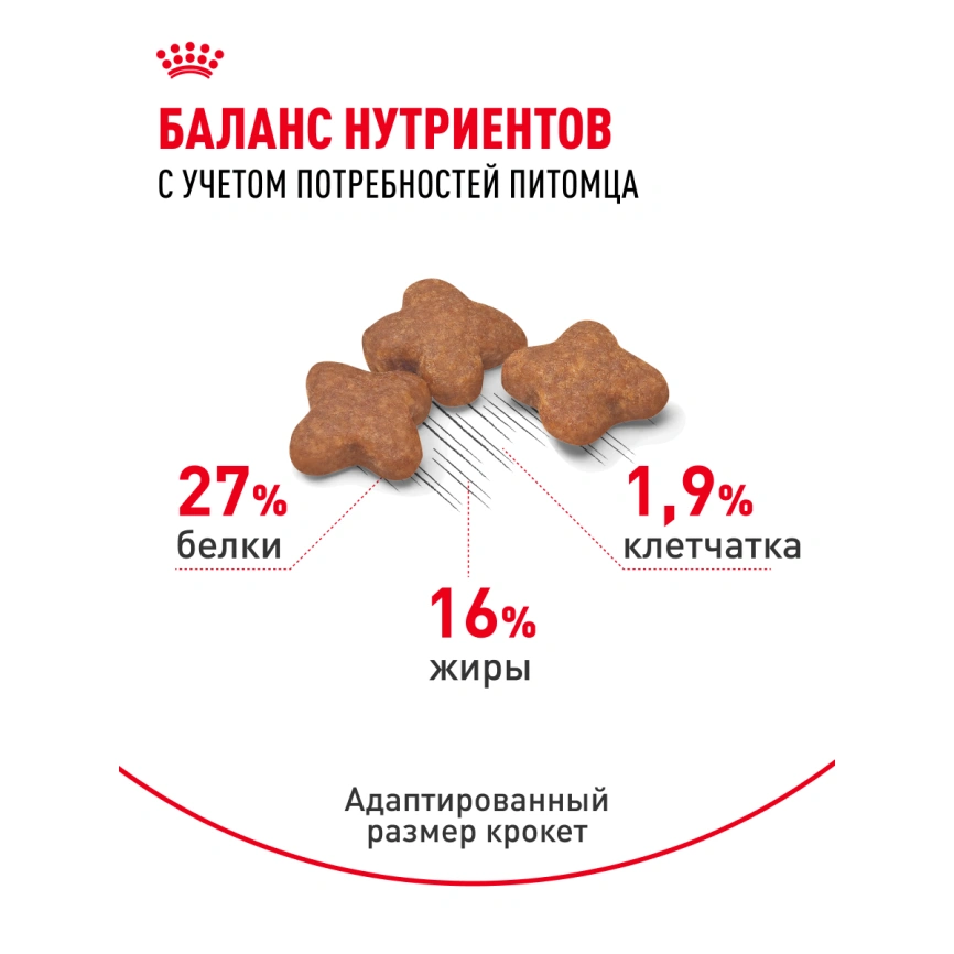 Сухой корм Royal Canin Mini Adult для взрослых собак, 4 кг фото 18