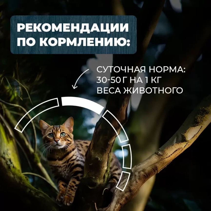Влажный корм Родные корма Duck & Turkey для кошек, индейка с уткой по-уездному, 410 г фото 5
