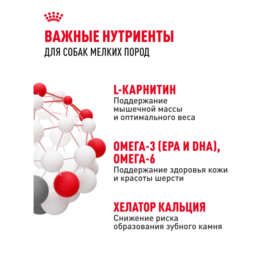Сухой корм Royal Canin Mini Adult для взрослых собак, 4 кг фото 19
