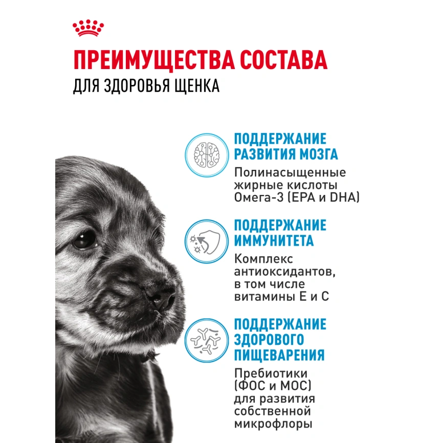 Сухой корм Royal Canin Mini Puppy для щенков, 4 кг фото 19