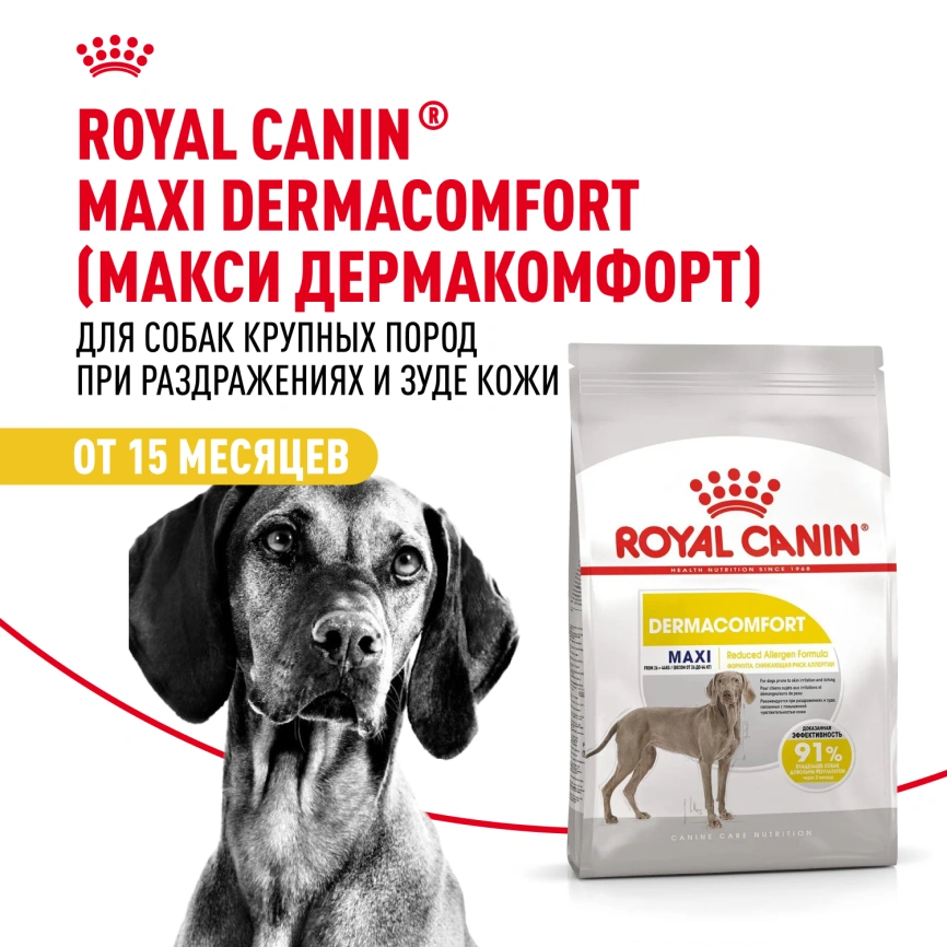 Сухой корм Royal Canin Maxi Dermacomfort для собак, 10 кг фото 12