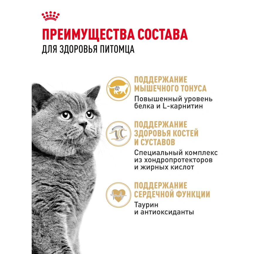 Сухой корм Royal Canin British Shorthair для кошек породы британская короткошерстная, 2 кг фото 29