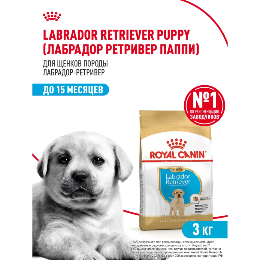 Сухой корм Royal Canin Labrador Retriever Puppy для щенков, 3 кг фото 12