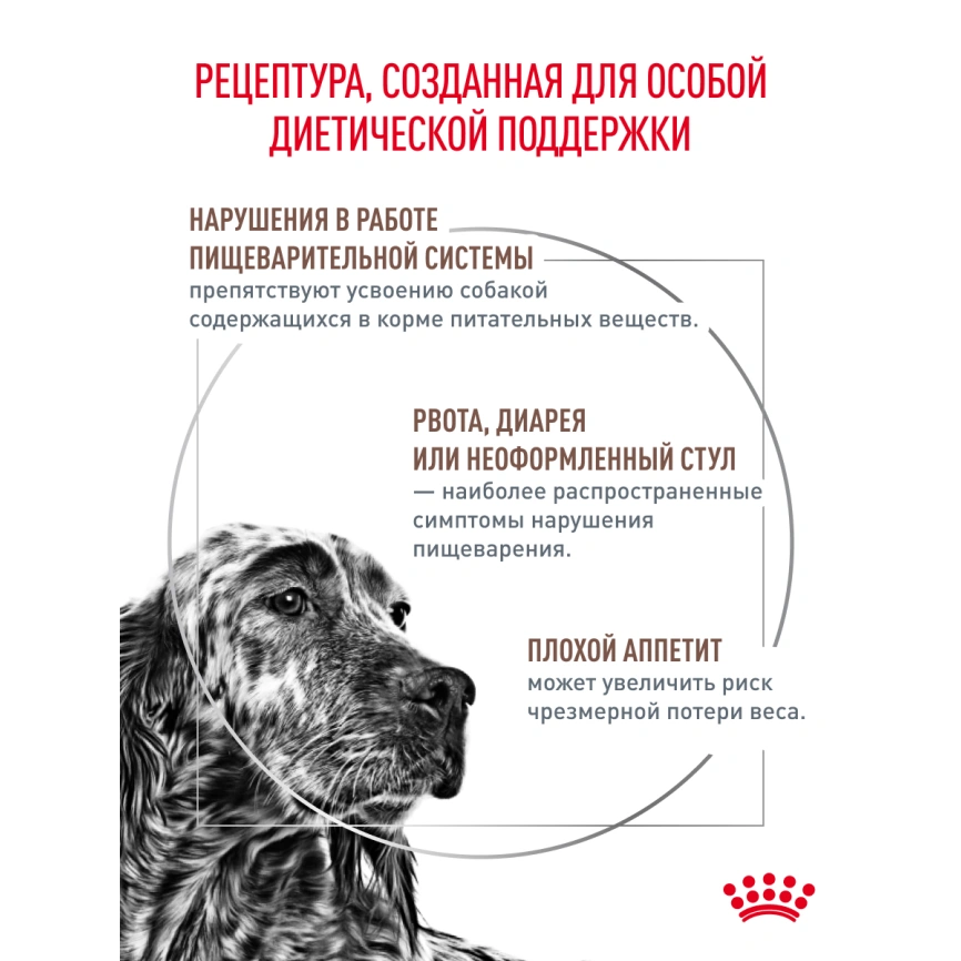 Сухой корм Royal Canin Gastrointestinal для собак, 15 кг фото 15