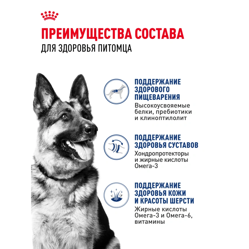 Сухой корм Royal Canin Maxi Adult для собак, 15 кг фото 15