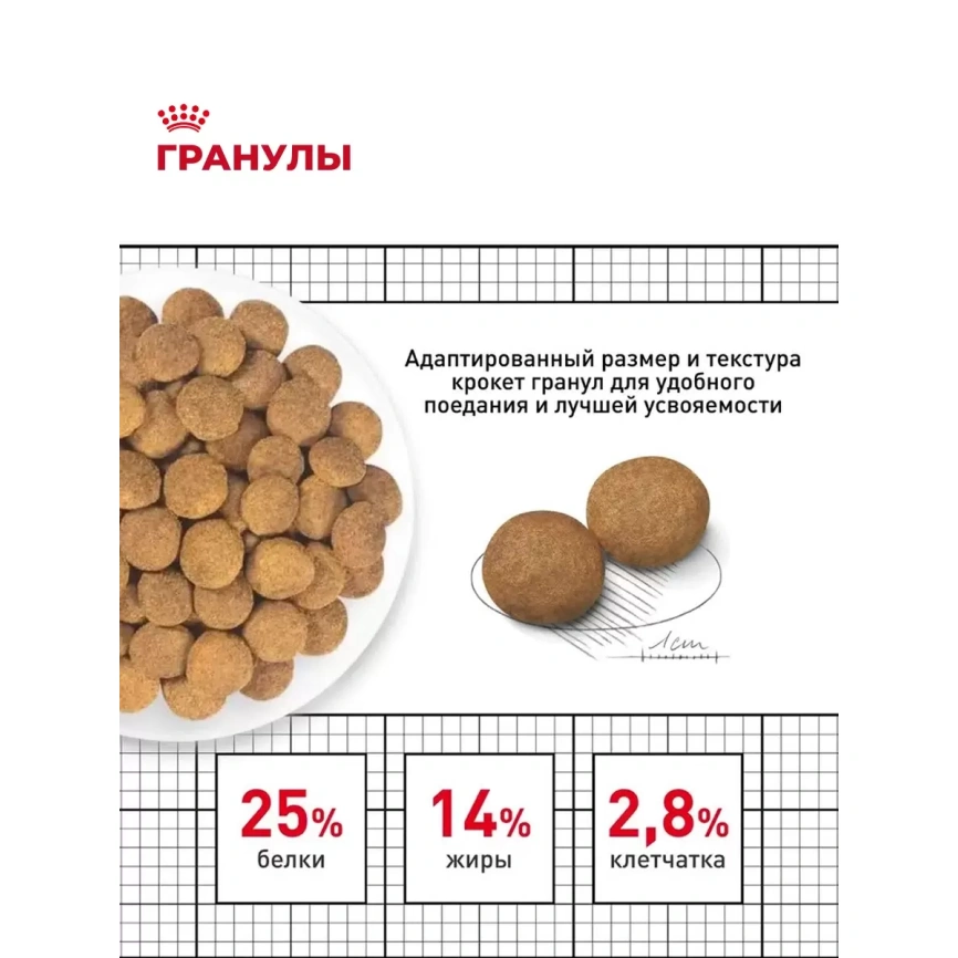 Сухой корм Royal Canin Club Adult Cс для взрослых собак, 20 кг фото 6