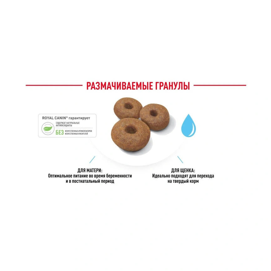 Сухой корм Royal Canin Maxi Starter Mother & Babydog для собак, 15 кг фото 4