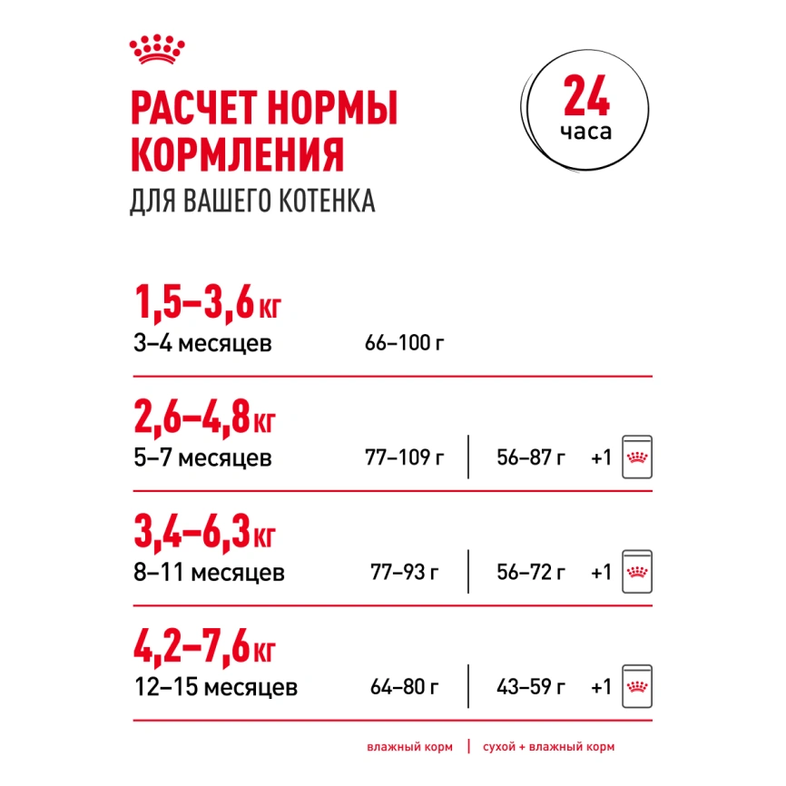 Влажный корм Royal Canin Maine Coon Kitten в соусе для котят породы мейн-кун и других крупных пород старше 3 месяцев, пауч, 85 г фото 22