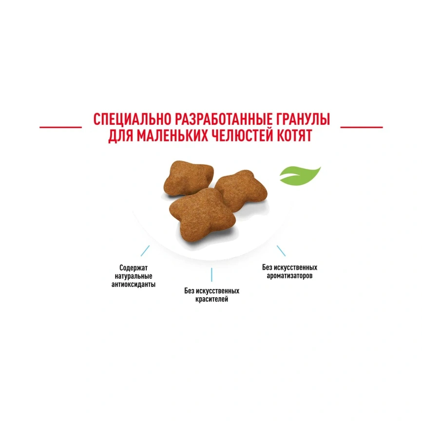 Сухой корм Royal Canin Kitten Sterilised для котят, 2 кг фото 18