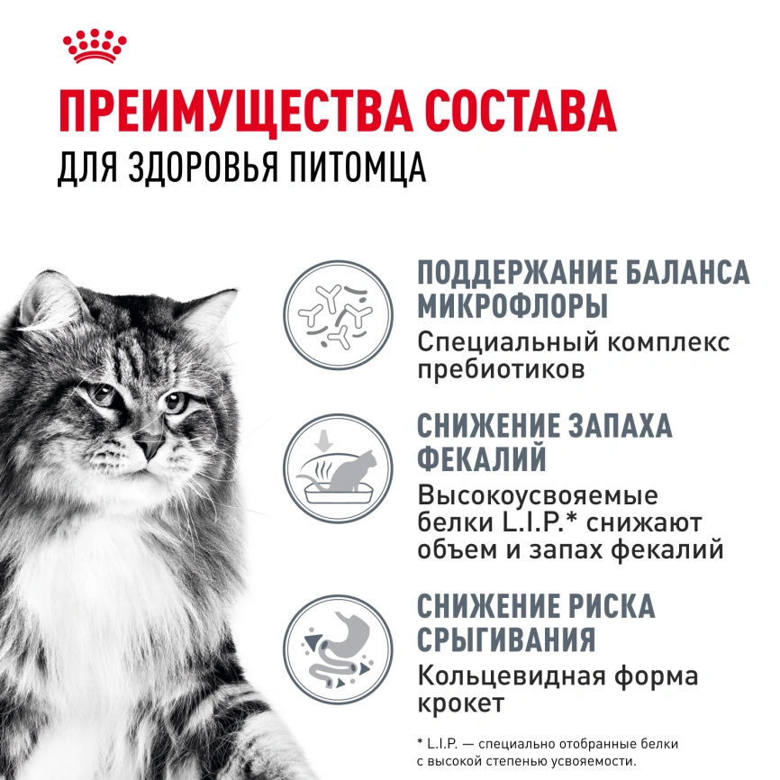 Сухой корм Royal Canin Digestive Care для кошек, 2 кг фото 3