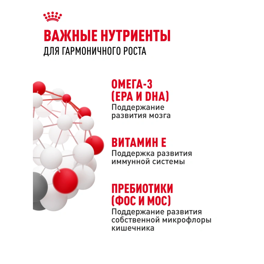 Сухой корм Royal Canin Kitten для котят, 300 г фото 23