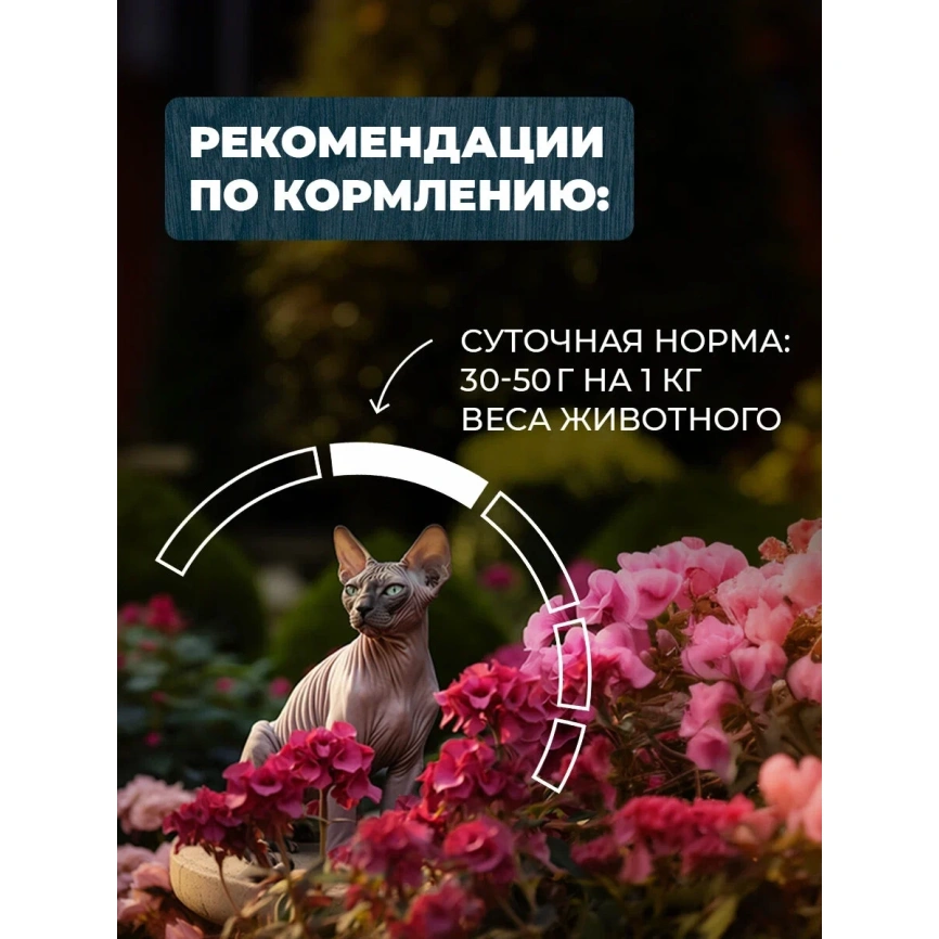 Влажный корм Родные корма Veal & Turkey для кошек, телятина и индейка по-пожарски, 410 г фото 5