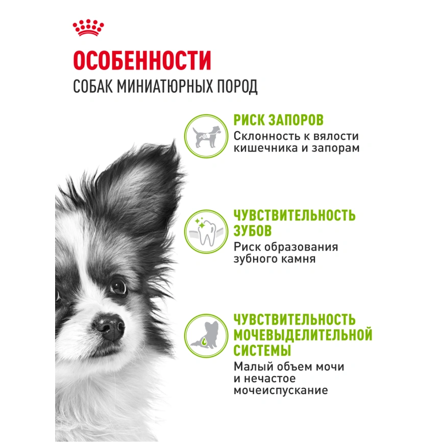 Сухой корм Royal Canin X-Small Adult для собак, 500 г фото 19
