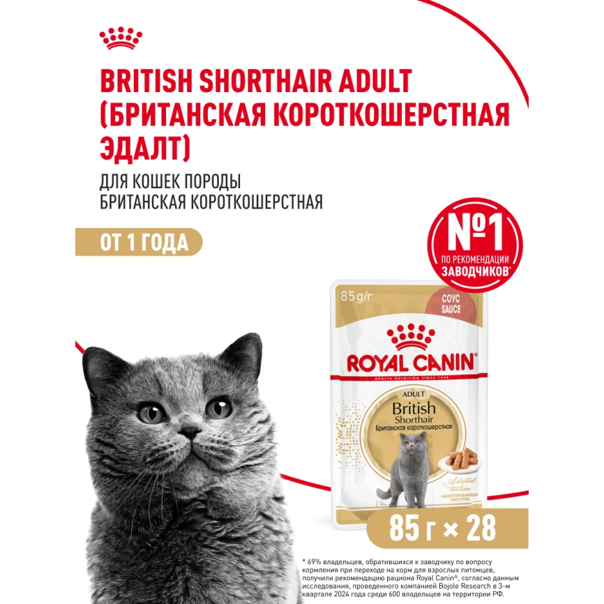 Влажный корм Royal Canin British Shorthair в соусе для кошек породы британская короткошерстная и шотландская вислоухая старше 1 года, пауч, 85 г фото 17